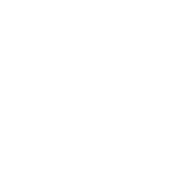 Icon Karton/Box